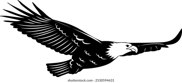 eagle, hawk soaring silhouettes, vector