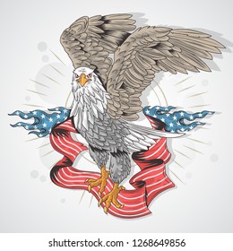 EAGLE HAWK USA FLAG DETAIL VECTOR