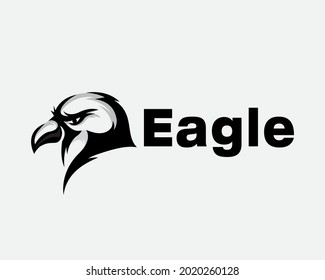 eagle head artistic drawn art logo template illustration inspiration