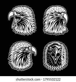 Eagle Head Collection on Black 