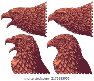 Eagle head. Design set. Editable hand drawn illustration. Vector vintage engraving. 8 EPS