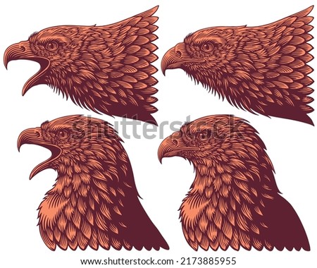 Eagle head. Design set. Editable hand drawn illustration. Vector vintage engraving. 8 EPS [[stock_photo]] © 