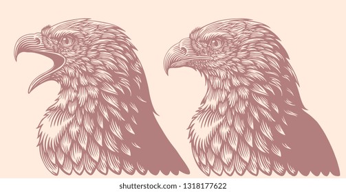 Eagle head. Design set. Hand drawn engraving. Editable vector vintage illustration. Isolated on light background. 8 EPS