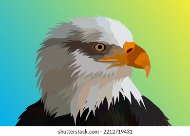 eagle head drawing illustration, vector eps 10