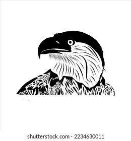 eagle head with feathers, vector illustration