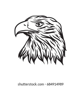 eagle head hand drawn illusration