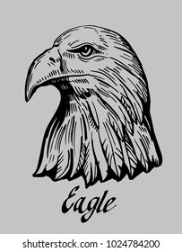 Eagle head. Hand drawn illustration converted to vector.