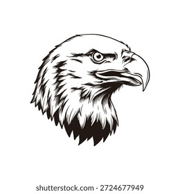 Eagle Head Illustration, Black and White Detailed Line Art Bird of Prey Portrait