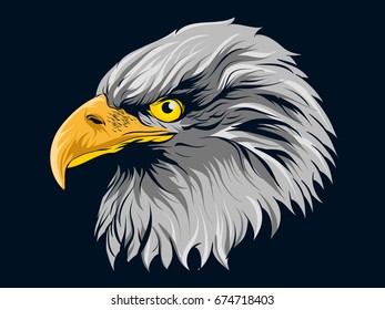 Eagle Head Illustration Dark Background