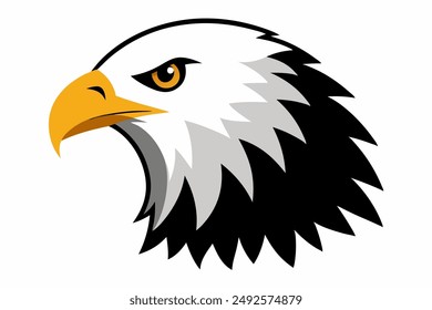 Eagle head illustration in high detail, perfect for branding, logos, and wildlife themes.