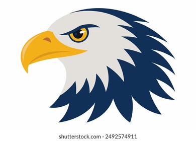 Eagle head illustration in high detail, perfect for branding, logos, and wildlife themes.