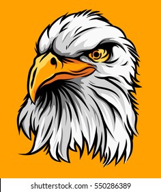 Eagle Head Illustration Vector