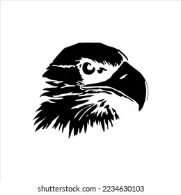 eagle head isolated on white