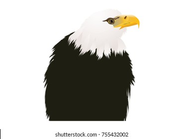 Eagle - head - isolated on white background - art illustration creative abstract vector