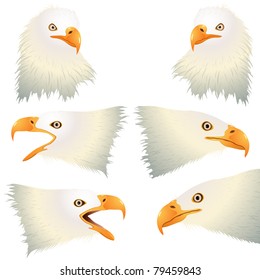 Eagle head isolated on white. Vector