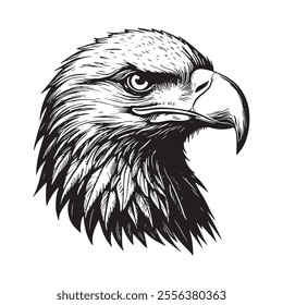 Eagle Head, King Of The Skies, Eagle head logo, silhouette set, black icon, mascot, eagle silhouette, birds vector illustration,