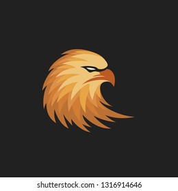 Eagle Head Logo Designs