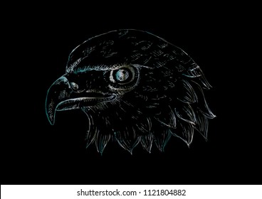 Eagle head logo Template. Hand draw illustration.