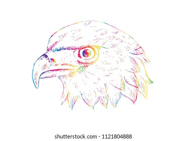 Eagle head logo Template. Hand draw illustration.