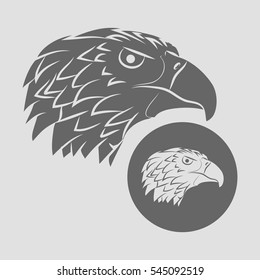 Eagle head logo Template, Hawk mascot graphic. Vector illustration.
