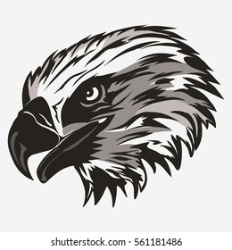 Eagle head logo Template, Hawk mascot graphic, Portrait of a bald eagle. Vector