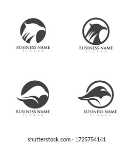 eagle head  Logo Template vector illustration design