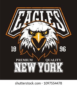 Eagle head logo for t-shirt, Hawk mascot Sport wear typography emblem graphic, athletic apparel stamp.
