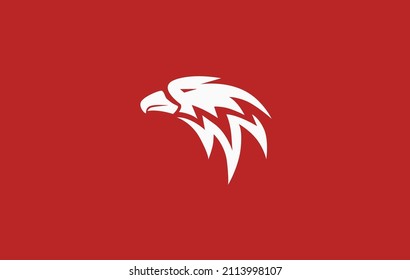 Eagle head  modern logo design