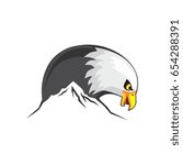 eagle head mountain logo