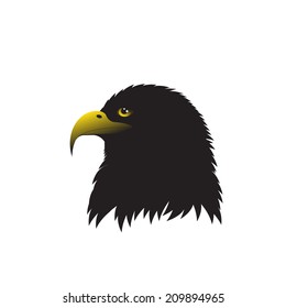 eagle. The head of an eagle on a white background.