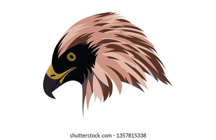 eagle head with original colors