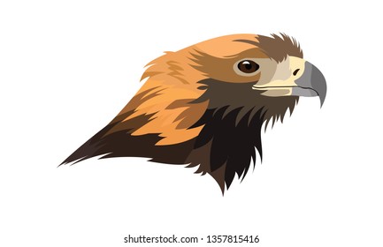 Eagle head with original colors
