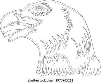 eagle head outline perfect for coloring page