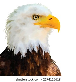 Eagle Head portrait side view. Realistic Vector Illustration on white background. Graphic, full colored hand-drawn sketch. Watercolor drawing.