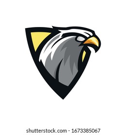eagle head in shield vector illustration design