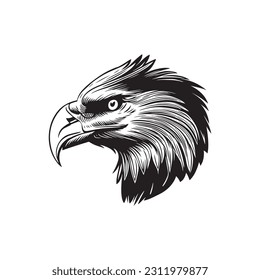 Eagle head sketch hand drawn vector, engraving style. Wild animals Vector illustration