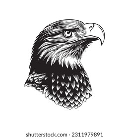 Eagle head sketch hand drawn vector, engraving style. Wild animals Vector illustration