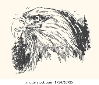 Eagle head sketch with nature background. Vector illustration 