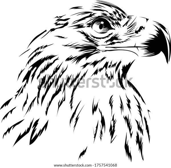 Eagle Head Vector Illustration Black White Stock Vector (Royalty Free ...