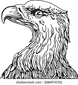 Eagle Head. Vector illustration emblem