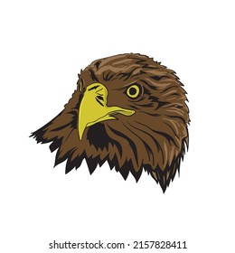 Eagle head vector illustration. good for sticker and badge