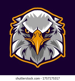 eagle head vector illustration isolated