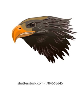 Eagle head. Vector illustration isolated oh the white background