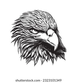 Eagle head vector illustration on a white background. Vintage Eagle illustration