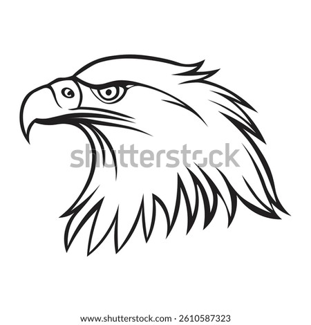 Eagle Head Vector Illustration on White Background