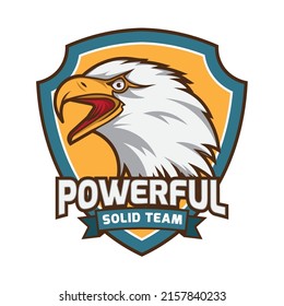 Eagle head vector illustration with shield logo design, perfect for tshirt, mascot and logo design