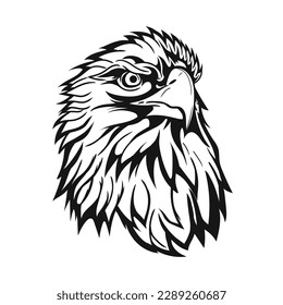 eagle head vector illustration. Sketch