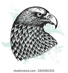 Eagle head vector illustrationm ,Zentangle  Hand drawing image