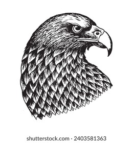Eagle head vector illustrationm ,Zentangle  Hand drawing image
