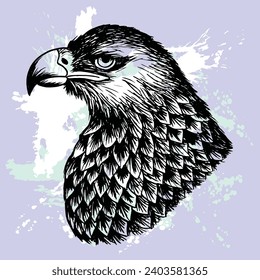 Eagle head vector illustrationm ,Zentangle  Hand drawing image